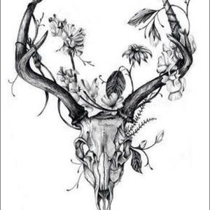 Meet your Posher, Cory